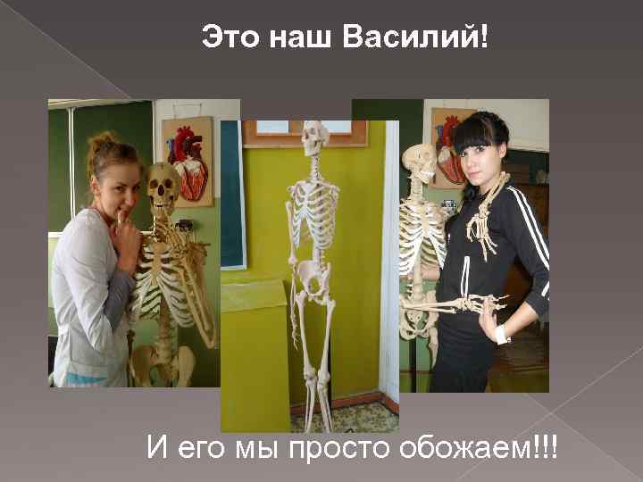 Это наш Василий! И его мы просто обожаем!!! 