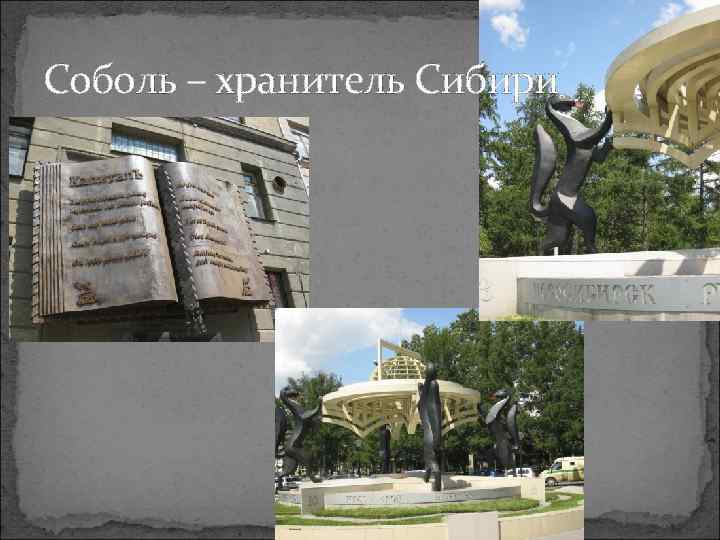 Соболь – хранитель Сибири 