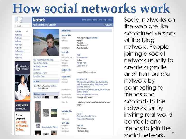 How social networks work Social networks on the web are like contained versions of