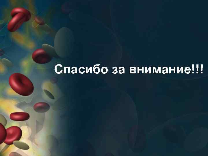 Спасибо за внимание!!! 