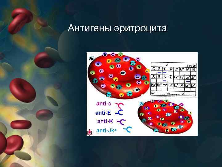 Если на эритроцитах обнаружены антигены а и в то исследуемый образец крови относится к группе