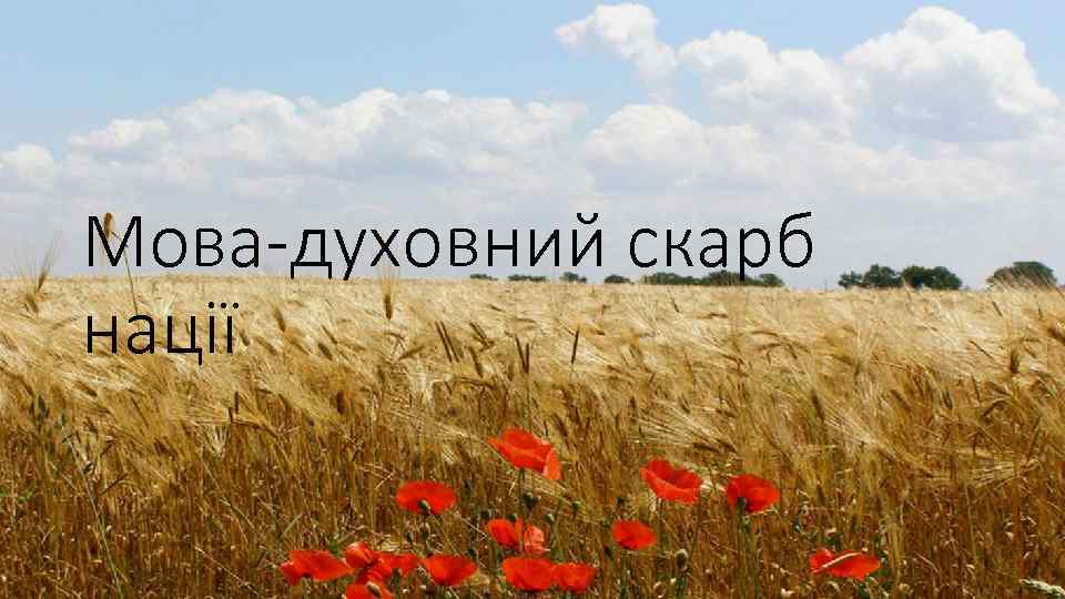 Мова-духовний скарб нації 