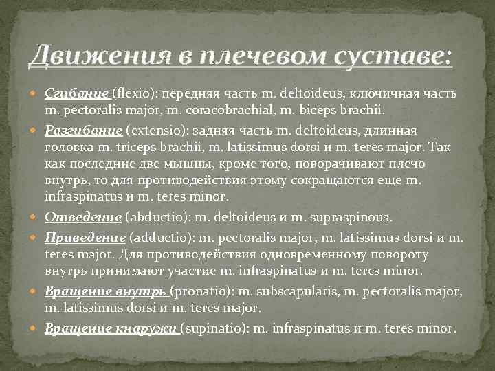 Движения в плечевом суставе: Сгибание (flexio): передняя часть m. deltoideus, ключичная часть m. pectoralis