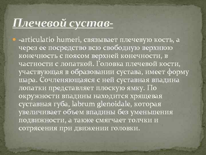 Плечевой сустав -articulatio humeri, связывает плечевую кость, а через ее посредство всю свободную верхнюю