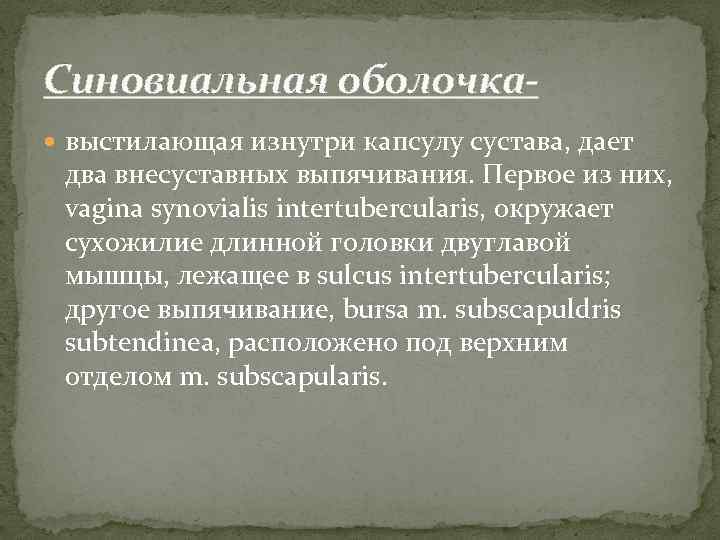 Синовиальная оболочка выстилающая изнутри капсулу сустава, дает два внесуставных выпячивания. Первое из них, vagina