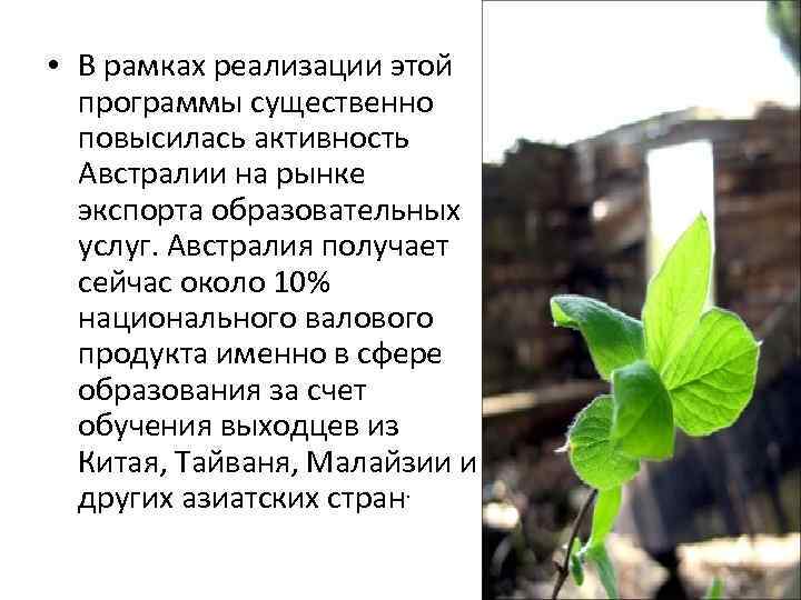  • В рамках реализации этой программы существенно повысилась активность Австралии на рынке экспорта