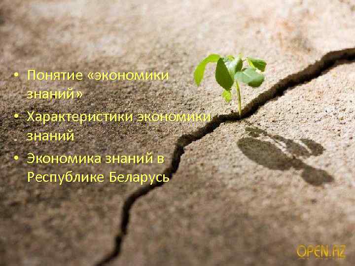  • Понятие «экономики знаний» • Характеристики экономики знаний • Экономика знаний в Республике