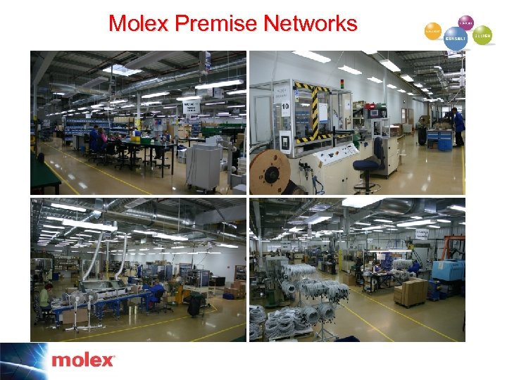 Molex Premise Networks 