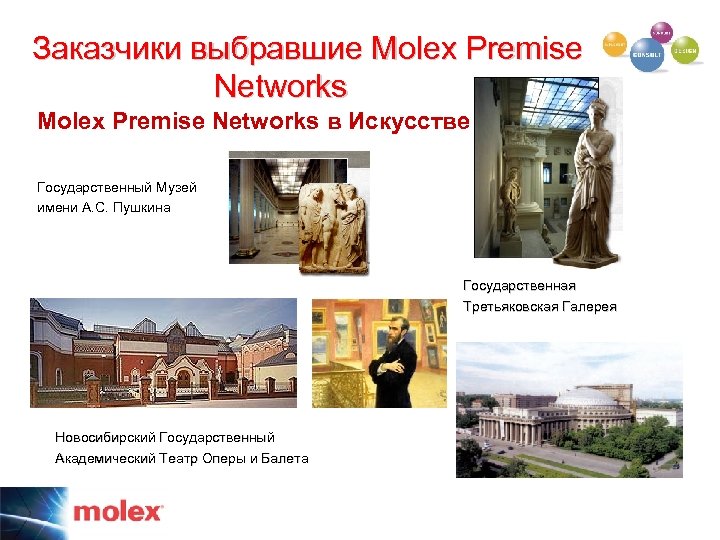 Заказчики выбравшие Molex Premise Networks в Искусстве Государственный Музей имени А. С. Пушкина Государственная