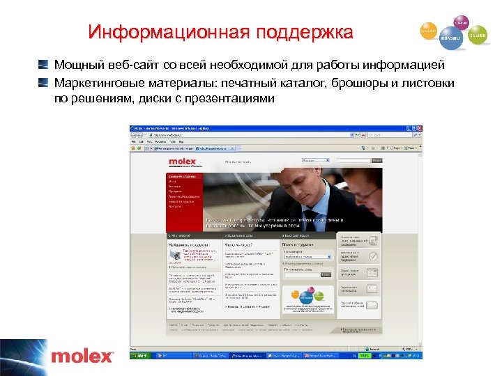 Информационная поддержка Мощный веб-сайт со всей необходимой для работы информацией Маркетинговые материалы: печатный каталог,