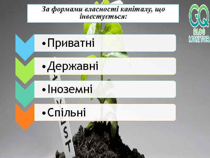 За формами власності капіталу, що інвестується: • Приватні • Державні • Іноземні • Спільні