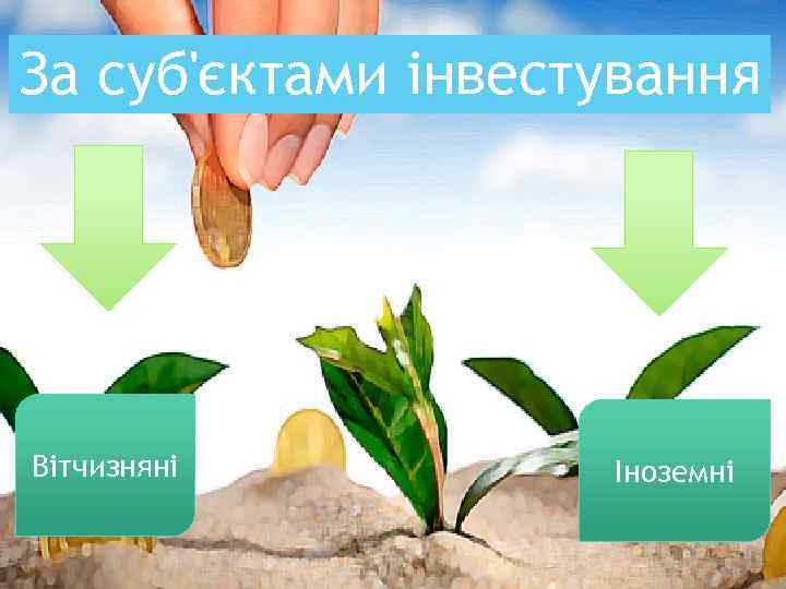 За суб'єктами інвестування Вітчизняні Іноземні 