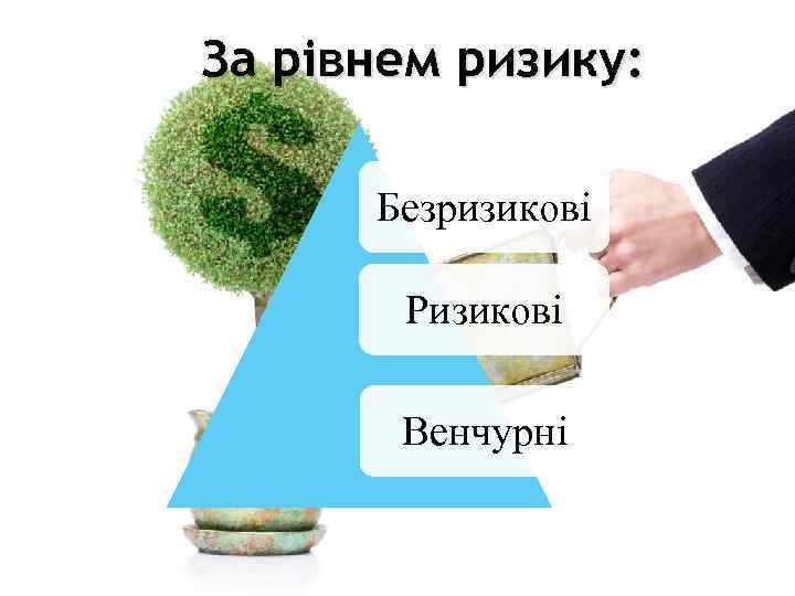 За рівнем ризику: Безризикові Ризикові Венчурні 