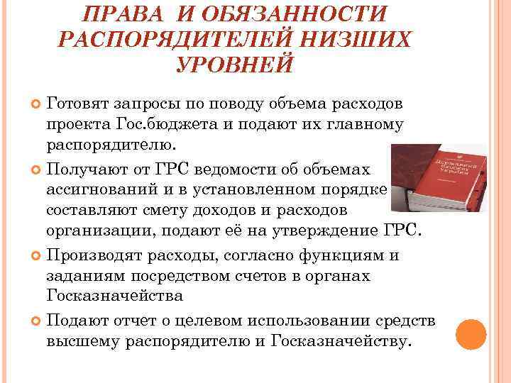ПРАВА И ОБЯЗАННОСТИ РАСПОРЯДИТЕЛЕЙ НИЗШИХ УРОВНЕЙ Готовят запросы по поводу объема расходов проекта Гос.
