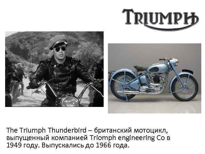 The Triumph Thunderbird – британский мотоцикл, выпущенный компанией Triomph engineering Co в 1949 году.