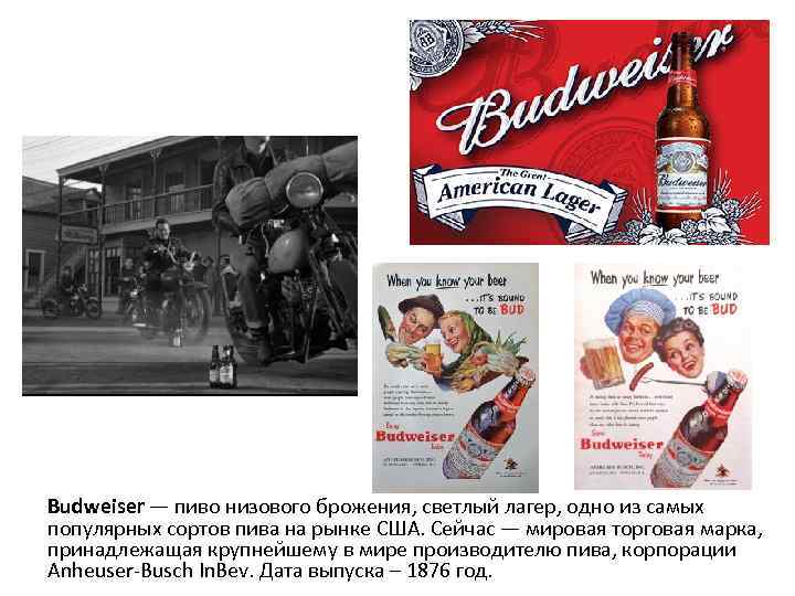 Budweiser — пиво низового брожения, светлый лагер, одно из самых популярных сортов пива на