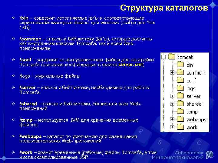 Структура каталогов /bin – содержит исполняемые jar’ы и соответствующие скриптовые/командные файлы для windows (.