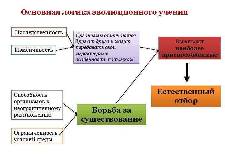 Основная логика эволюционного учения Наследственность Изменчивость Способность организмов к неограниченному размножению Ограниченность условий среды
