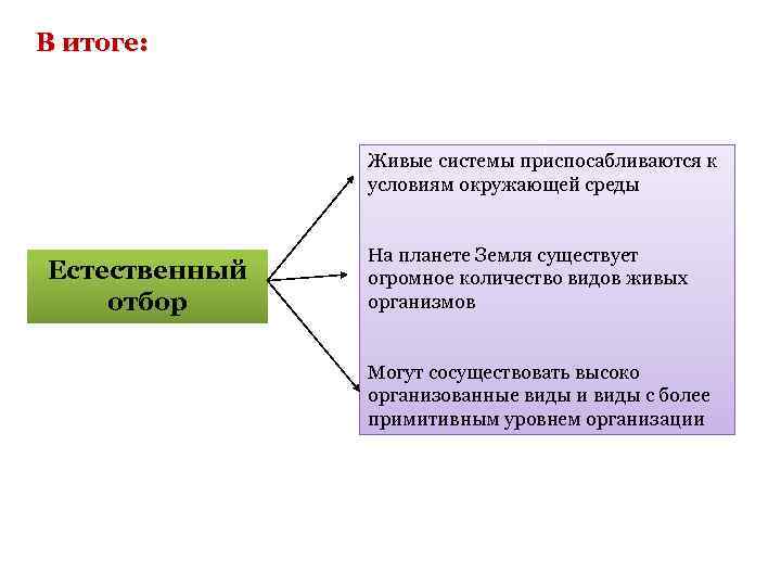 В итоге: Живые системы приспосабливаются к условиям окружающей среды Естественный отбор На планете Земля