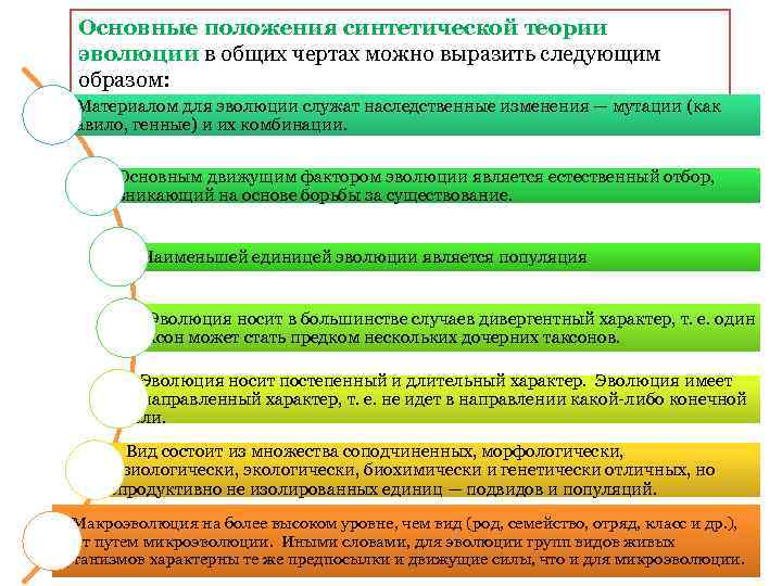 Основные положения синтетической теории эволюции в общих чертах можно выразить следующим образом: 1. Материалом
