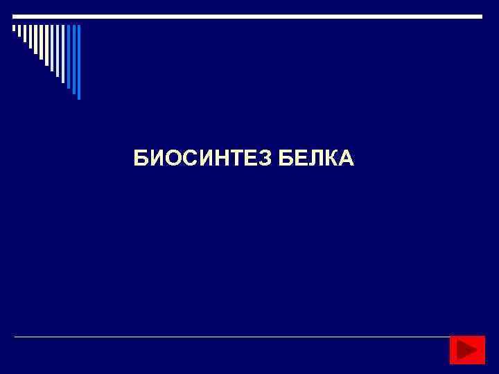 БИОСИНТЕЗ БЕЛКА 