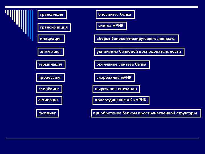 трансляция биосинтез белка транскрипция синтез м. РНК инициация сборка белоксинтезирующего аппарата элонгация удлинение белковой