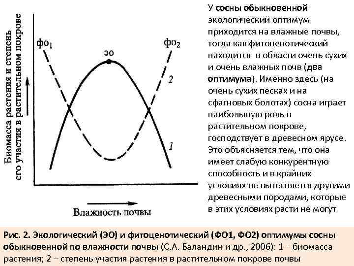 Смена фитоценозов схема