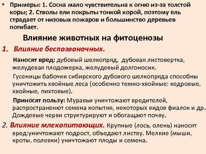  • Примеры: 1. Сосна мало чувствительна к огню из-за толстой коры; 2. Стволы
