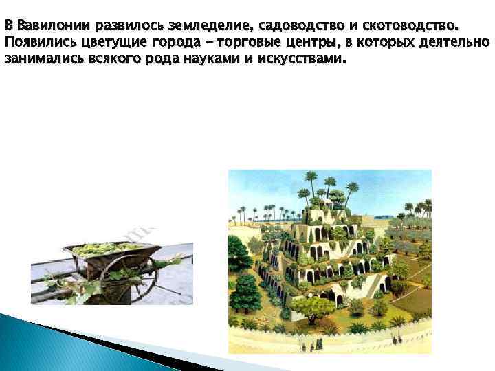 В Вавилонии развилось земледелие, садоводство и скотоводство. Появились цветущие города - торговые центры, в