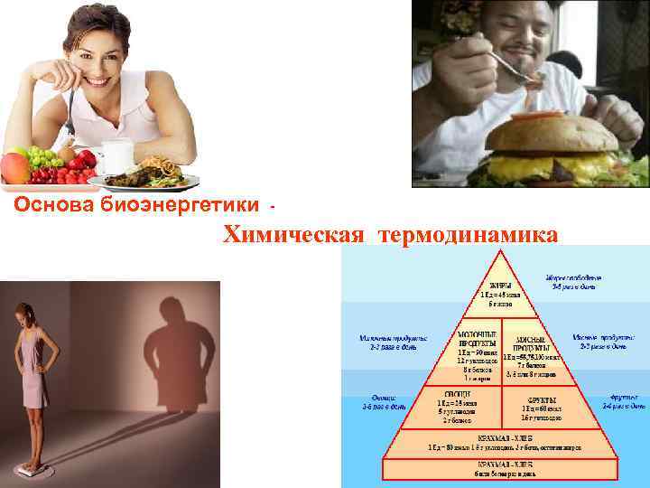 Основа биоэнергетики - Химическая термодинамика 