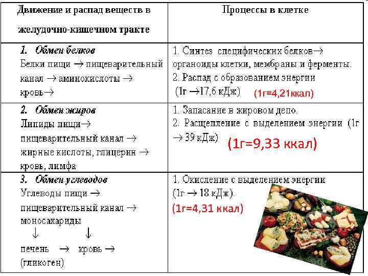 (1 г=4, 21 ккал) (1 г=9, 33 ккал) (1 г=4, 31 ккал) 