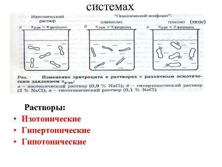 Изотонический раствор гипотонический