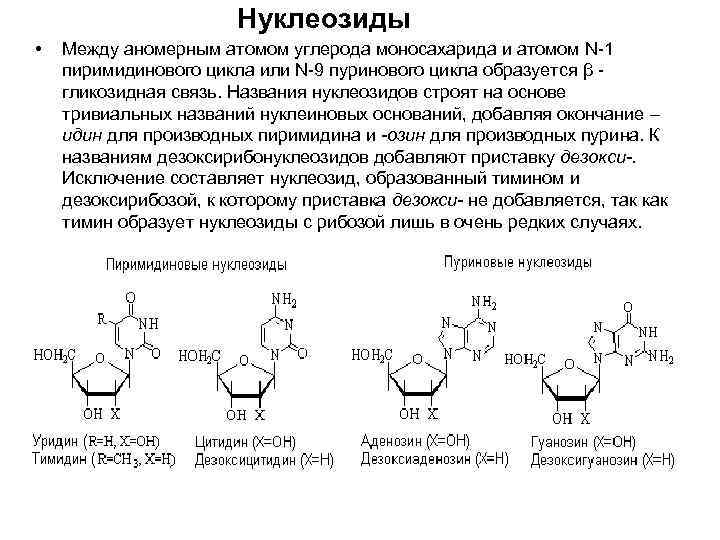 Нуклеиновые кислоты моносахариды. Характеристика пуриновых и пиримидиновых нуклеиновых оснований.. Нуклеозиды связи между. Нуклеозиды формулы с названиями. Формула уридина.