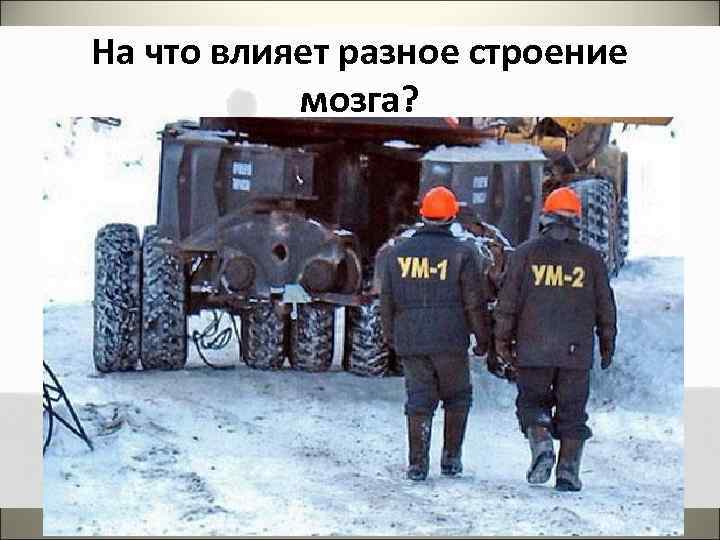 На что влияет разное строение мозга? 