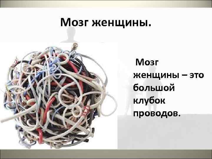 Мозг женщины. Мозг женщины – это большой клубок проводов. 