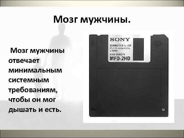 Мозг мужчины. Мозг мужчины отвечает минимальным системным требованиям, чтобы он мог дышать и есть.