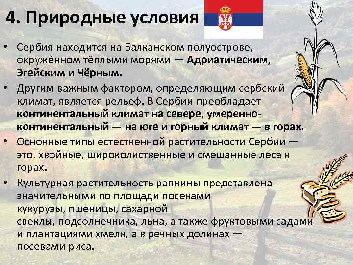 4. Природные условия • Сербия находится на Балканском полуострове, окружённом тёплыми морями — Адриатическим,