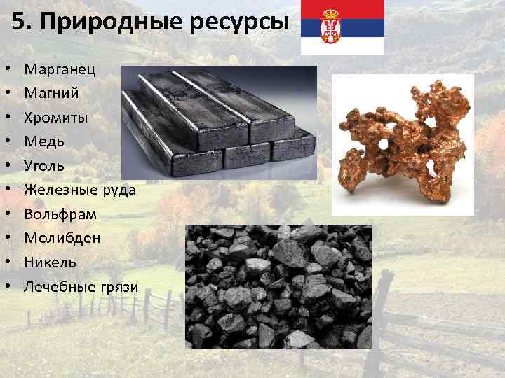 Рыбные ресурсы каменный уголь. Природные ресурсы Сербии. Природные условия и ресурсы Сербии. Магний и Марганец. Уголь медь.