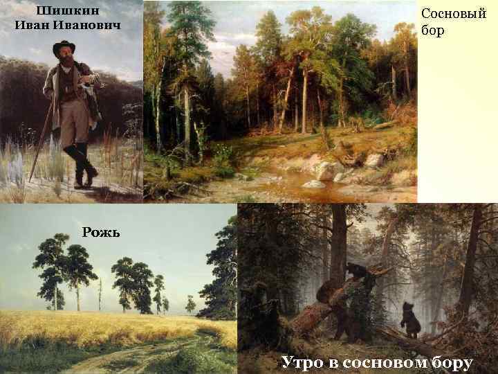 Шишкин Иванович Сосновый бор Рожь Утро в сосновом бору 