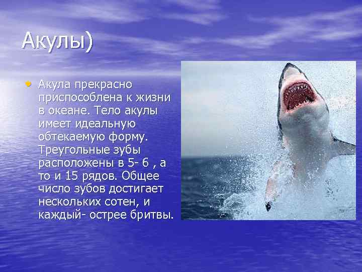 Акулы) • Акула прекрасно приспособлена к жизни в океане. Тело акулы имеет идеальную обтекаемую