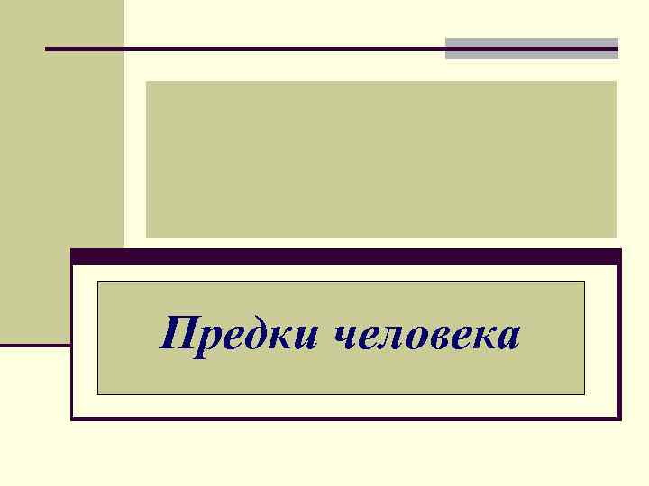 Предки человека 