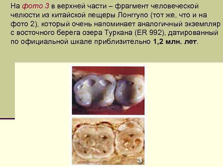  На фото 3 в верхней части – фрагмент человеческой челюсти из китайской пещеры