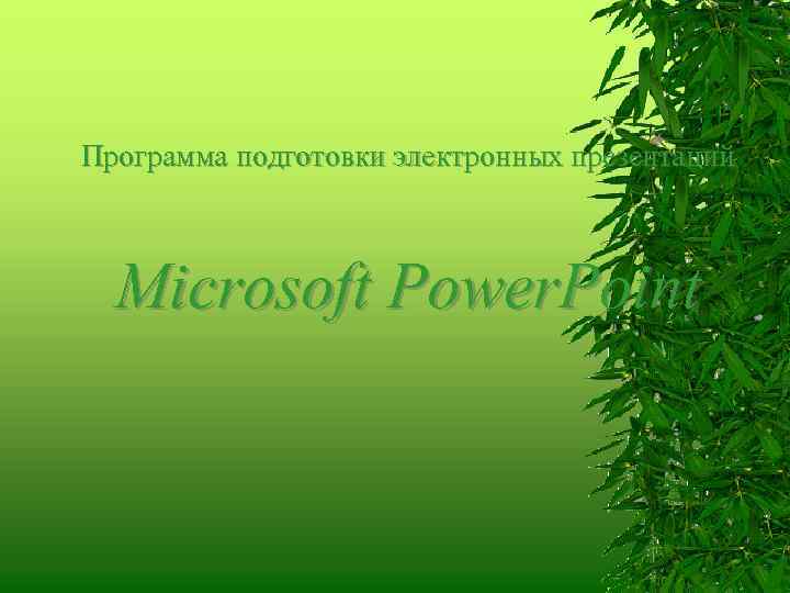 Программа подготовки электронных презентаций Microsoft Power. Point 