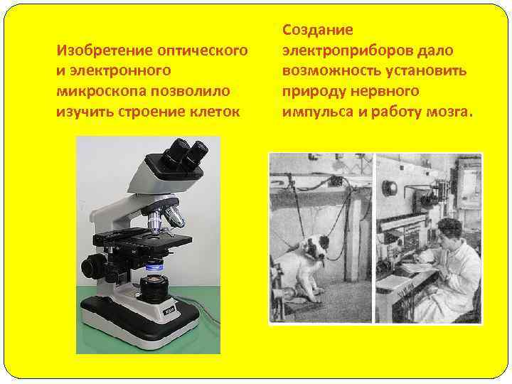 Изобретение оптического и электронного микроскопа позволило изучить строение клеток Создание электроприборов дало возможность установить