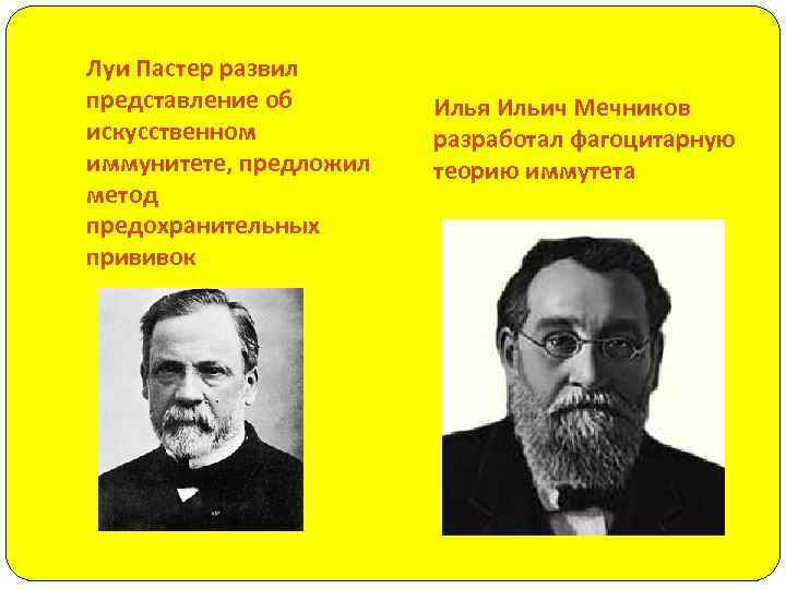 Луи Пастер развил представление об искусственном иммунитете, предложил метод предохранительных прививок Илья Ильич Мечников