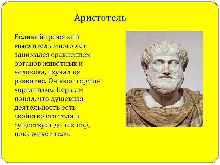 Аристотель Великий греческий мыслитель много лет занимался сравнением органов животных и человека, изучал их