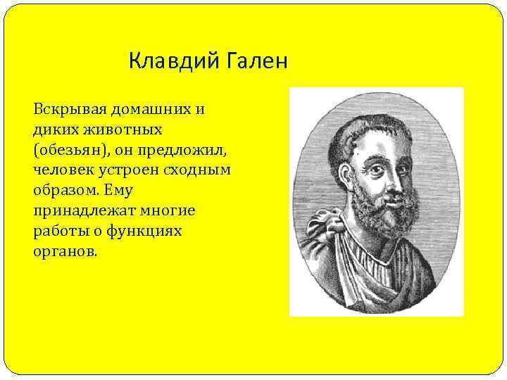 Клавдий Гален Вскрывая домашних и диких животных (обезьян), он предложил, человек устроен сходным образом.