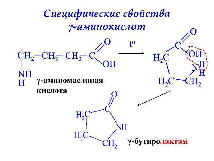 Специфические свойства γ-аминокислот O CH 2 C OH NH H γ-аминомасляная кислота to O