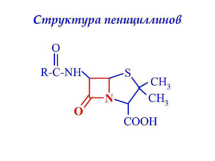 Структура пенициллинов 