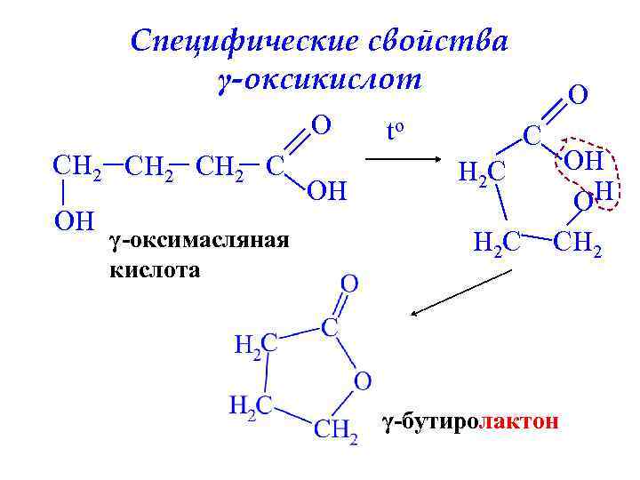 Специфические свойства γ-оксикислот O CH 2 C OH γ-оксимасляная кислота OH to O C